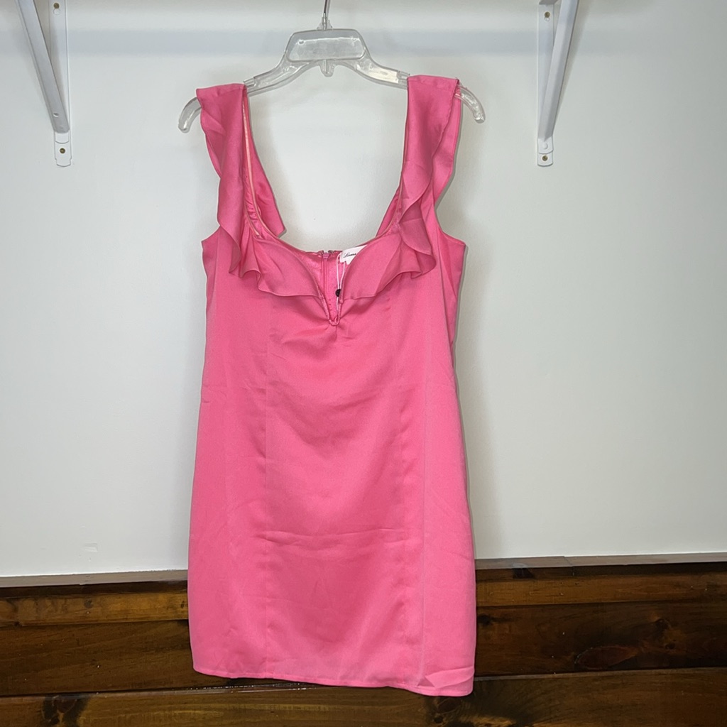 Lovers + Friends Pink Ruffle Mini Dress- L